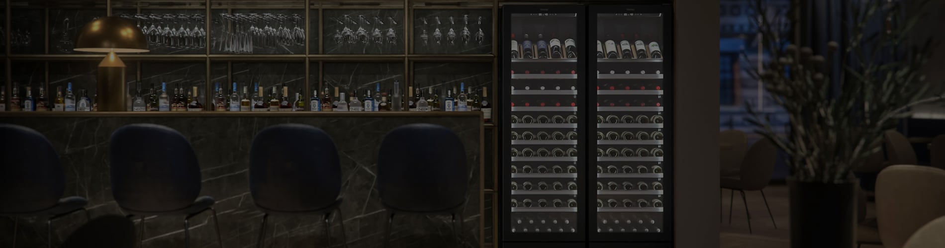 How to choose a Wine cabinet?